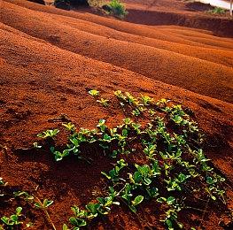 数毛社《最终幻想16》试玩Demo图形对比 过场动画锁30帧
